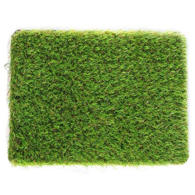 Brizeth 30 mm Kids & Pet-Friendly, Artificial Grass Dakota Fields on Productcaster.