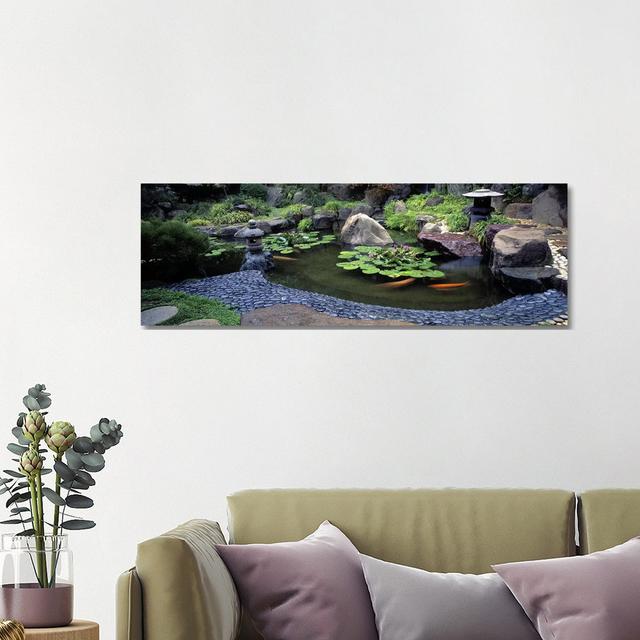 Lotus Blossoms, Japanese Garden, University Of California, Los Angeles, California, USA #2 by Panoramic Images - Wrapped Canvas Panoramic Print Classi on Productcaster.