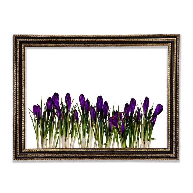 Single Picture Frame Art Prints Ebern Designs Size: 42cm H x 59.7cm W x 3cm D on Productcaster.