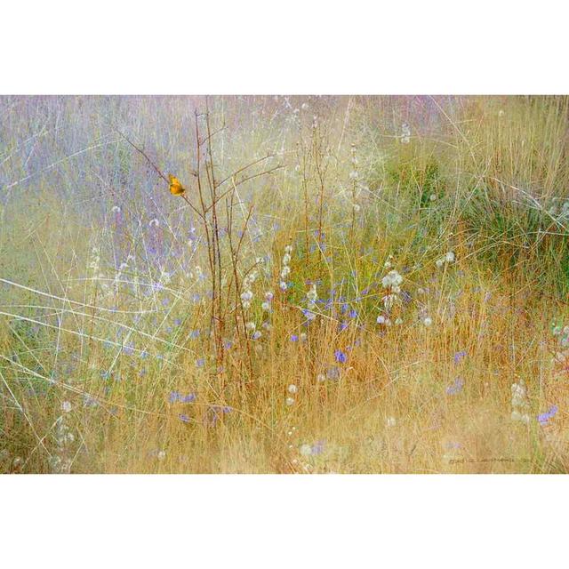 Meadow Mural by Chris Vest - Wrapped Canvas Graphic Art Print East Urban Home Size: 102 cm H x 152 cm W on Productcaster.