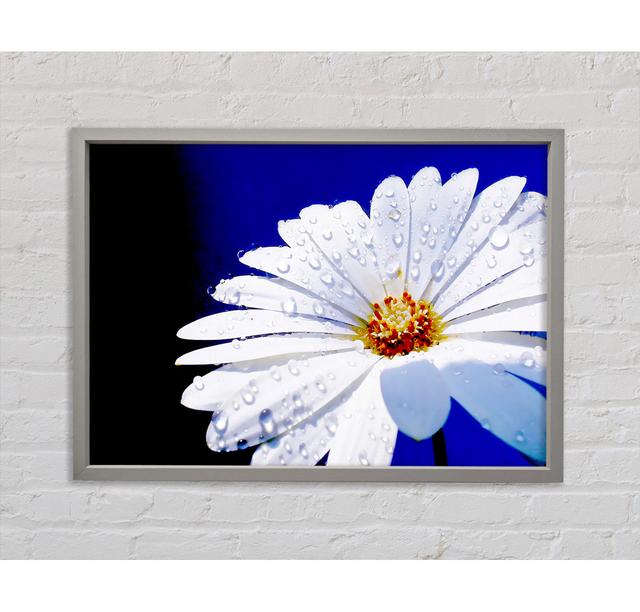 White Daisy Petal Droplet Framed Print Bright Star Size: 84.1cm H x 118.9cm W x 3.3cm D on Productcaster.