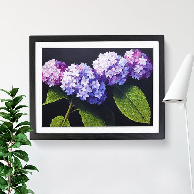 Hydrangea Flower View Vol.2 - Single Picture Frame Print Marlow Home Co. Size: 46cm H x 64cm W x 2cm D, Frame Colour: Black on Productcaster.