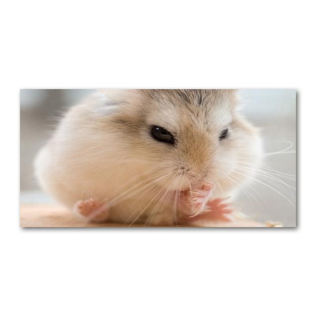 Hamster - Kunstdrucke auf Leinwand - Wrapped Canvas Brayden Studio on Productcaster.