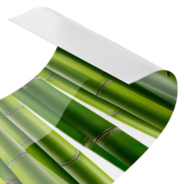 Asmah Bamboo Plant PVC Tile in Green Bloomsbury Market Material: Smart, Size: 50cm x 80cm on Productcaster.