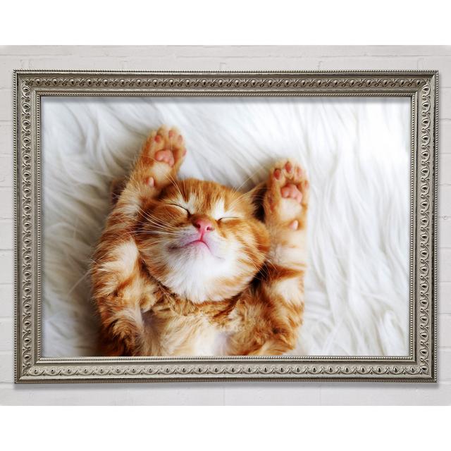 Cat Snooze Framed Print Brayden Studio Size: 59.7cm H x 84.1cm W x 3cm D, Format: Silver Framed Paper on Productcaster.