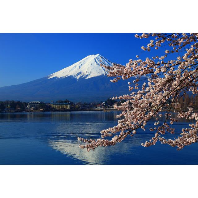 Mt Fuji and branches of cherry blossoms at Lake Kawaguchiko House of Hampton Size: 51cm H x 76cm W on Productcaster.