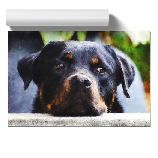 Rottweiler Dog - No Frame Print East Urban Home Size: 30cm H x 42cm W x 0.1cm D on Productcaster.