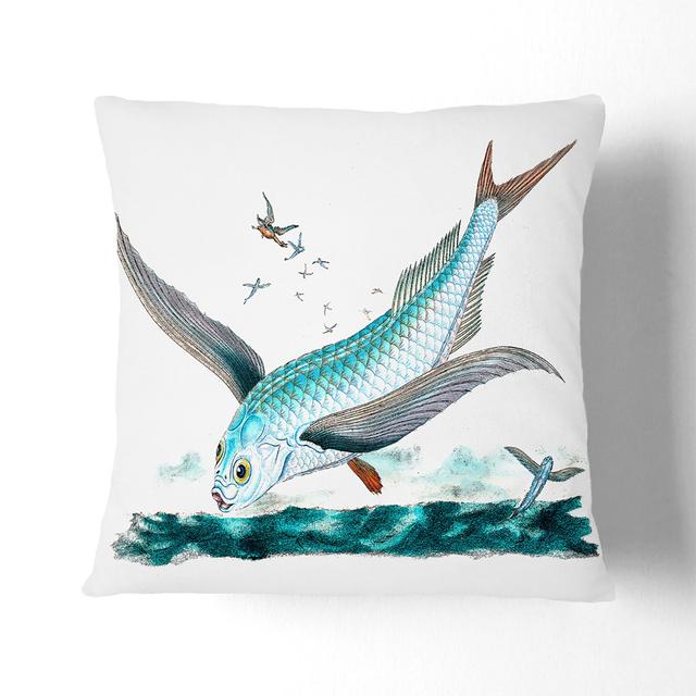 Flying-Fish by Edward Donovan Cushion with Filling East Urban Home Size: 55cm H x 55cm W x 20cm D, Backing Colour: Stone on Productcaster.