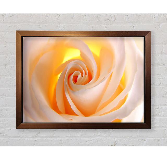 Soft Cream Yellow Rose - Single Picture Frame Art Prints Bright Star Size: 84.1cm H x 118.9cm W x 3.4cm D on Productcaster.