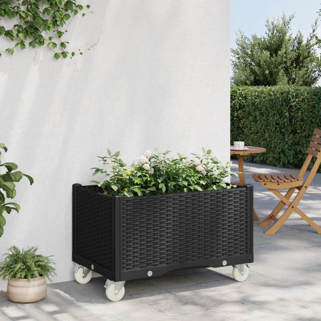 Jedidiah Planter Box Ophelia & Co. Colour: Black on Productcaster.