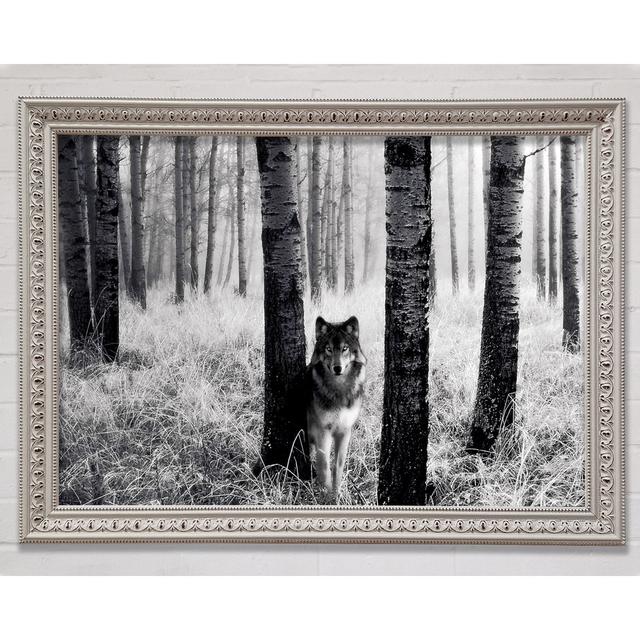 Forest Wolf - Print Bright Star Size: 42cm H x 59.7cm W x 3cm D on Productcaster.