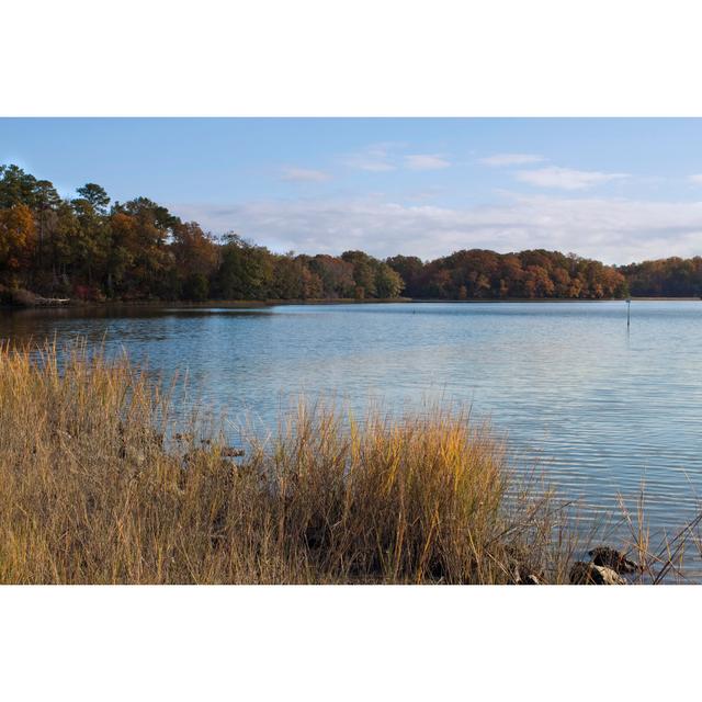 Chesapeake Bay With Trees by OKRAD - No Frame Art Prints on Canvas Beachcrest Home Size: 51cm H x 76cm W on Productcaster.