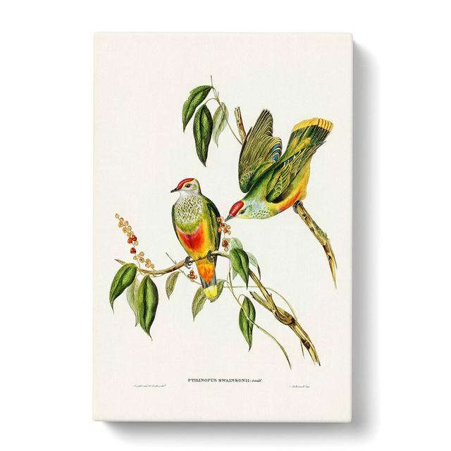 Swainson's Fruit Pigeons by Elizabeth Gould - Wrapped Canvas Art Print East Urban Home Size: 76cm H x 50cm W x 3cm D on Productcaster.