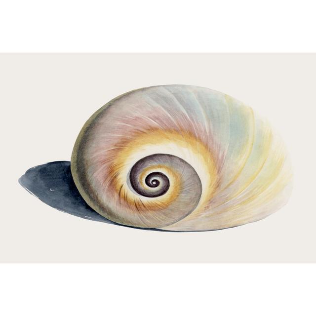 Spiraling I by Grace Popp - Wrapped Canvas Photograph Highland Dunes Size: 61cm H x 91cm W x 3.8cm D on Productcaster.