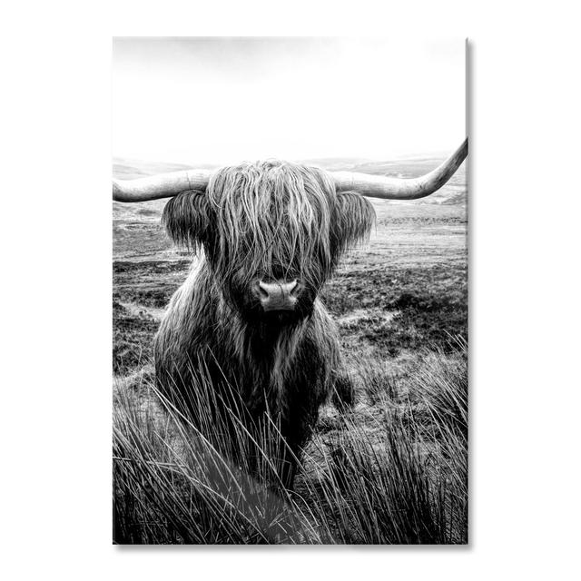 Ungerahmtes Foto auf Glas "Highland Cattle with Large Steppe Horns" Gracie Oaks Größe: 70 cm H x 100 cm B x 0,4 cm T on Productcaster.