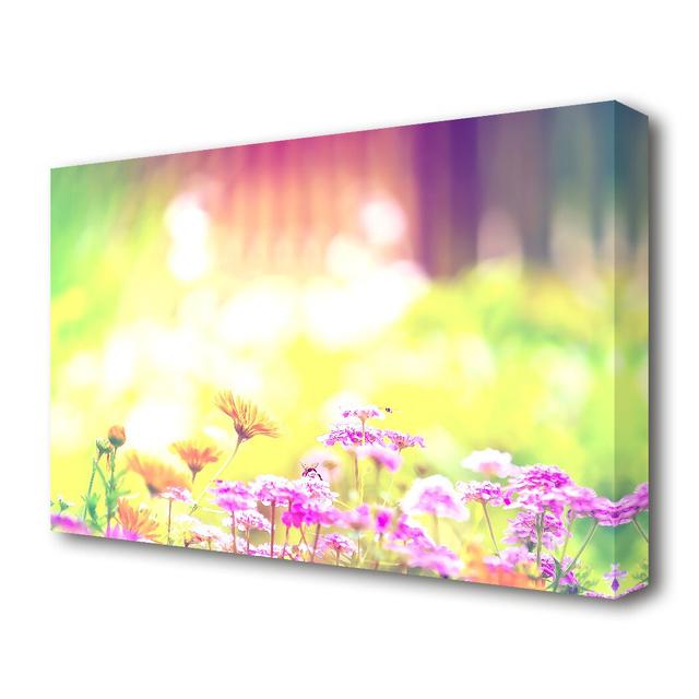 Marigold Lilac Purple Flowers Flowers Canvas Print Wall Art East Urban Home Size: 101.6 cm H x 142.2 cm W on Productcaster.