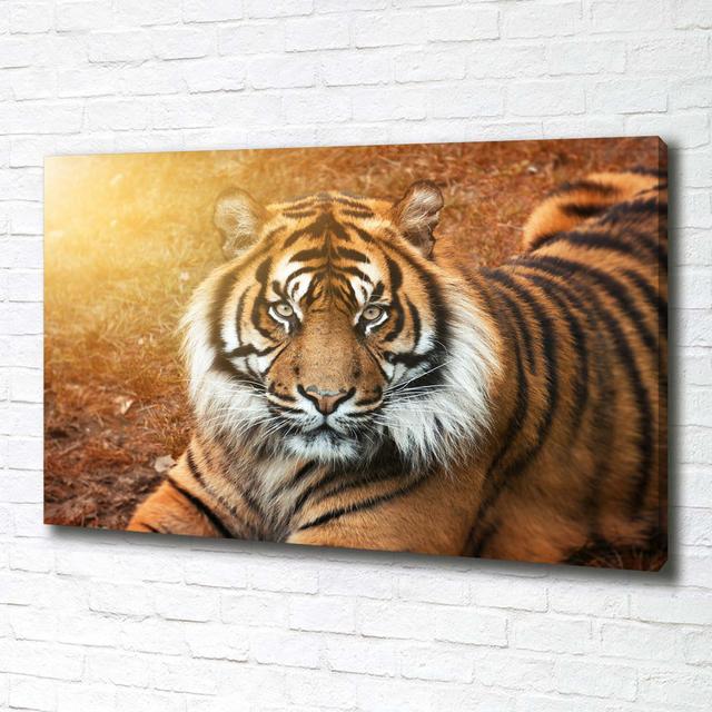 Bengal Tiger - Wrapped Canvas Art Prints Brayden Studio on Productcaster.