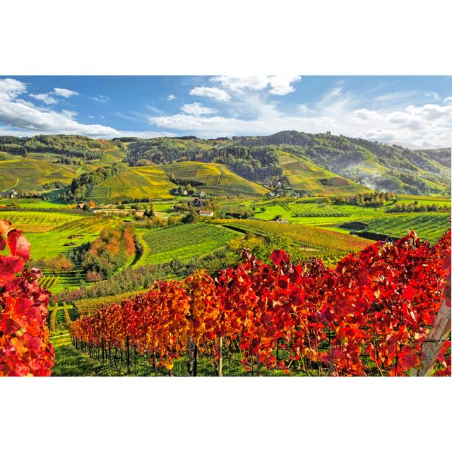 Autumn on a Sunny Day in Germany by Rsester - Wrapped Canvas Photograph Alpen Home Size: 30cm H x 46cm W x 3.8cm D on Productcaster.