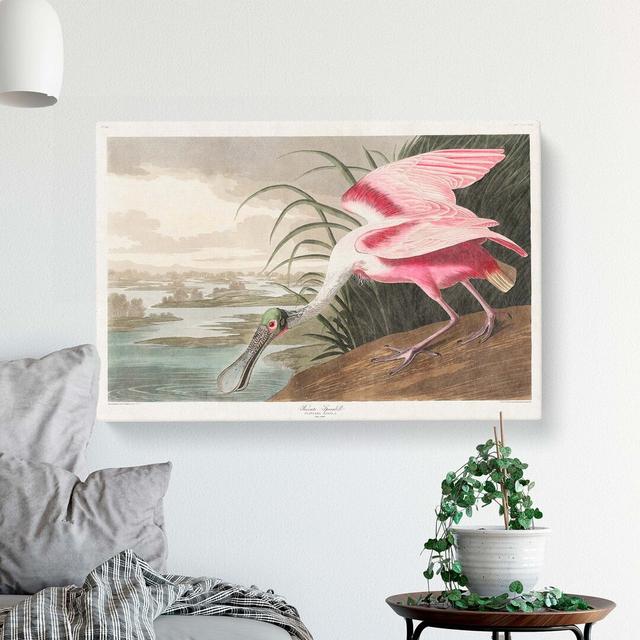 Roseate Spoonbill by John Audubon - Wrapped Canvas Print East Urban Home Size: 50cm H x 76cm W x 3cm D on Productcaster.