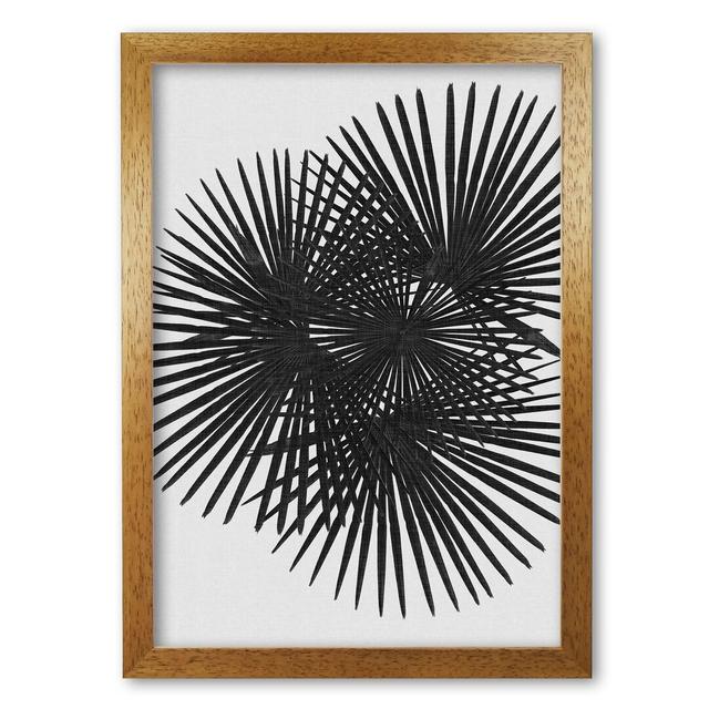 'Fan Palm' Graphic Art in Black/White Mercury Row Format: Honey Oak Frame, Size: 85 cm H x 60 cm W x 5 cm D on Productcaster.