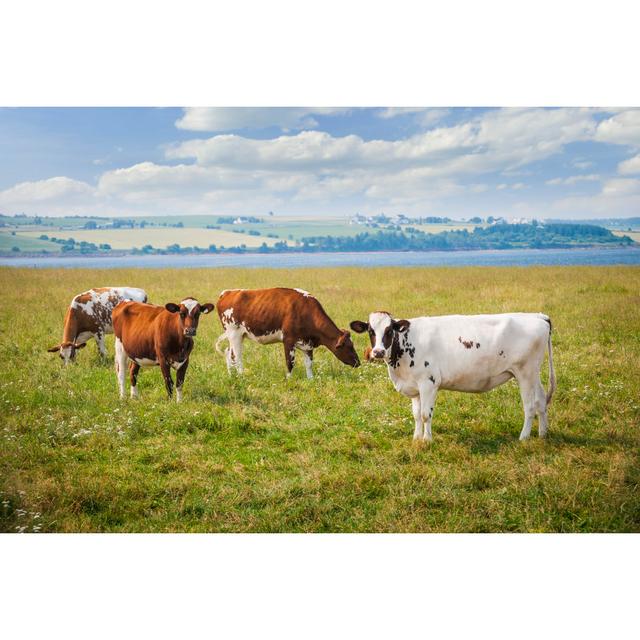 Lantz Cows In Farm Field - Wrapped Canvas Print Brambly Cottage Size: 81cm H x 122cm W x 3.8cm D on Productcaster.