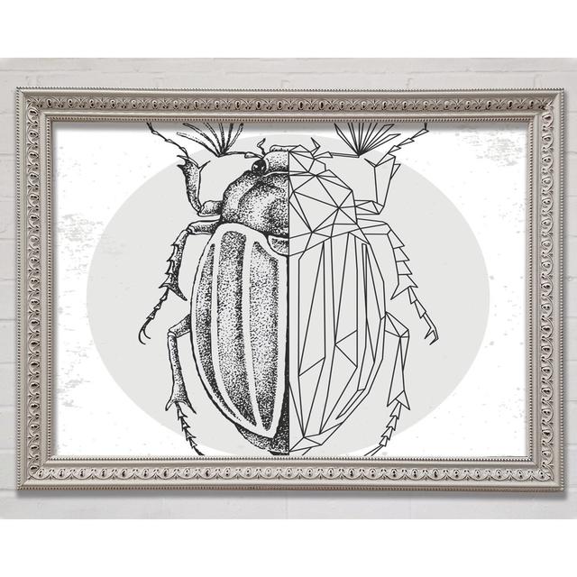 The Beetle Sketch - Single Picture Frame Art Prints Bright Star Size: 21cm H x 29.7cm W x 3cm D on Productcaster.