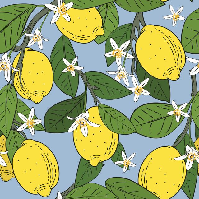 Tooleville Branches With Lemons - Wrapped Canvas Graphic Art ClassicLiving Size: 122cm H x 122cm W x 3.8cm D on Productcaster.