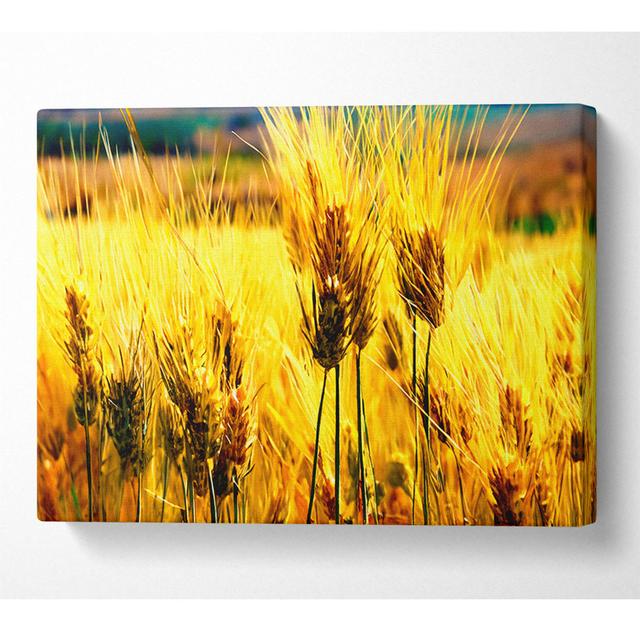 Wheat Field Near The Forest - Wrapped Canvas Art Prints ModernMoments Größe: 101,6 cm H x 142,2 cm B x 10 cm T on Productcaster.