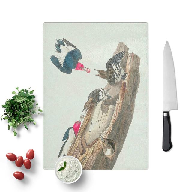 Tempered Glass Headed Woodpeckers by John James Audubon Chopping Board East Urban Home Size: 20 cm W x 28.5 cm L on Productcaster.