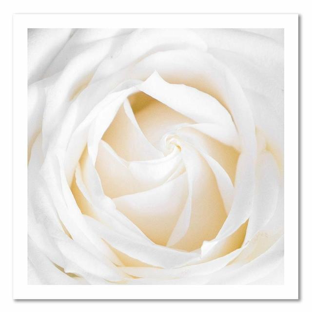 'White Rose 2' - Wrapped Canvas Graphic Art Print Latitude Run Size: 90cm H x 90cm W on Productcaster.