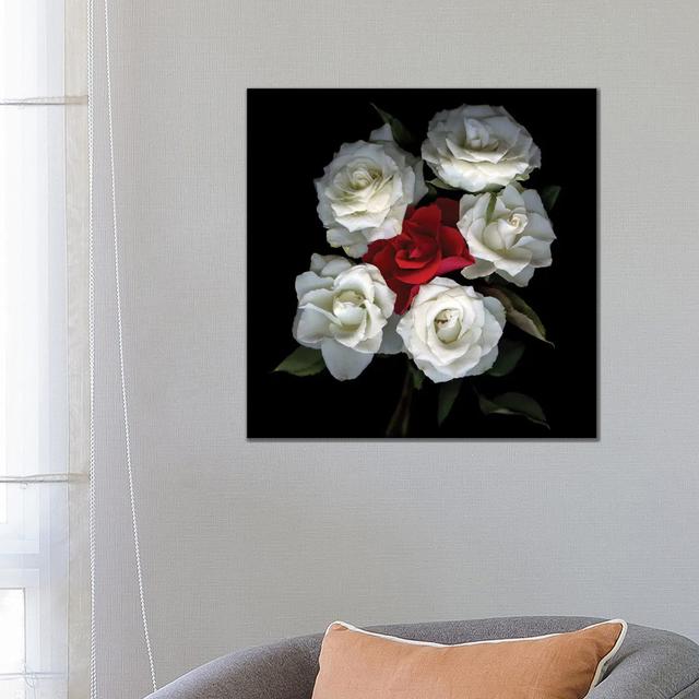 Rose Mix XII by Magda Indigo - Gallery-Wrapped Canvas Giclée on Canvas Canora Grey Size: 66.04cm H x 66.04cm W, Format: Wrapped Canvas on Productcaster.