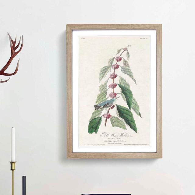 Blue Green Warbler Bird by John Audubon - Picture Frame Painting Print East Urban Home Frame Option: Oak Framed, Size: 65cm H x 48cm W x 2cm D on Productcaster.