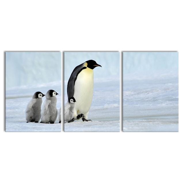 'Emperor Penguin in Snow' 3 Piece Photographic Art Print Set on Wrapped Canvas East Urban Home Size: 100 cm H x 210 cm W on Productcaster.