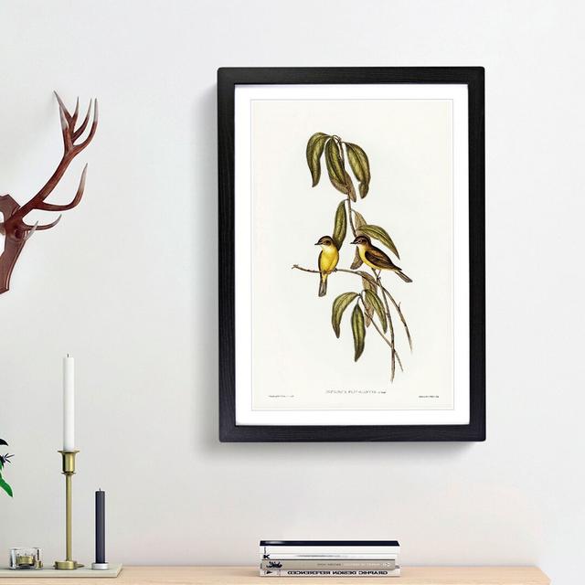 Yellow-Bellied Flycatcher Birds by Elizabeth Gould - Picture Frame Art Print East Urban Home Frame Option: Black Framed, Size: 36cm H x 27cm W x 2cm D on Productcaster.