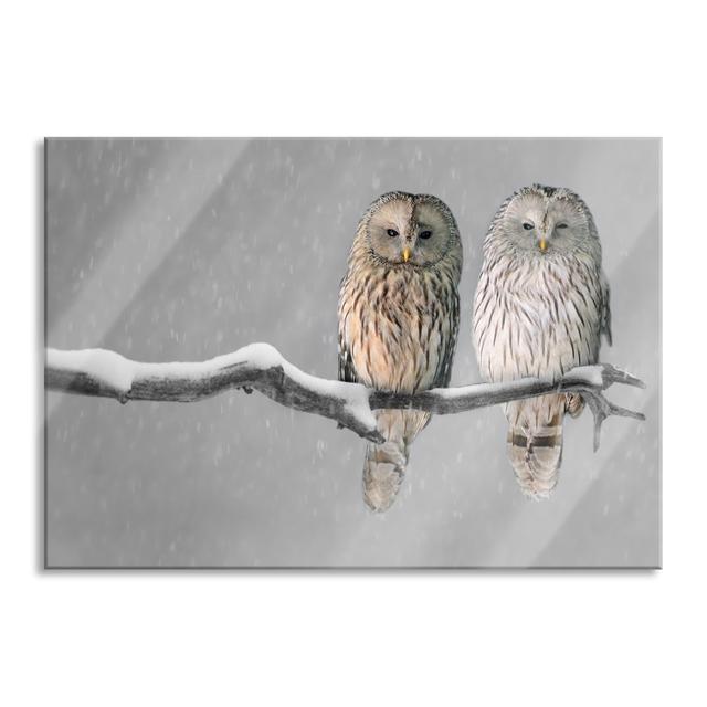 Two Owls in a Winter Landscape - Unframed Photograph on Glass Union Rustic Size: 60cm H x 80cm W x 0.4cm D on Productcaster.