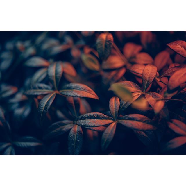 Colorful Night Leafs by Erika Parfenova - Print 17 Stories Size: 81cm H x 122cm W on Productcaster.