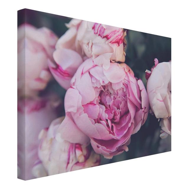 Peony Flower Shabby - Wrapped Canvas Art Prints Canora Grey Size: 90cm H x 120cm W on Productcaster.