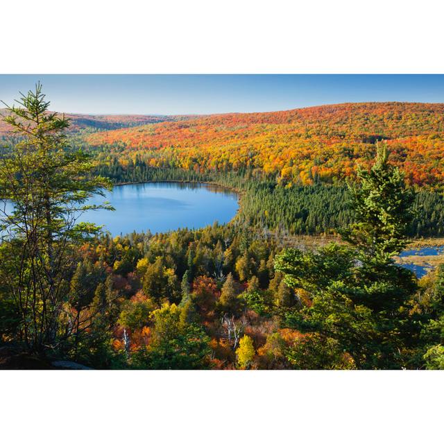 Small Lake - Wrapped Canvas Photograph Union Rustic Size: 51cm H x 76cm W x 3.8cm D on Productcaster.