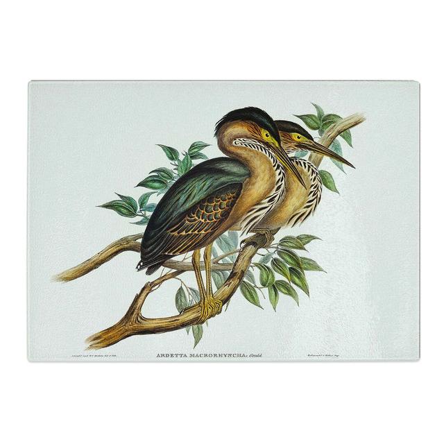 Tempered Glass Thick-Billed Bitterns by Elizabeth Gould Chopping Board East Urban Home Size: 28.5 cm x 20 cm on Productcaster.