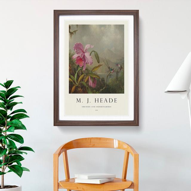 Orchid with Hummingbirds Vol.1 by Martin Johnson Heade - Picture Frame Painting East Urban Home Frame Option: Walnut, Size: 65cm H x 48cm W x 2cm D on Productcaster.