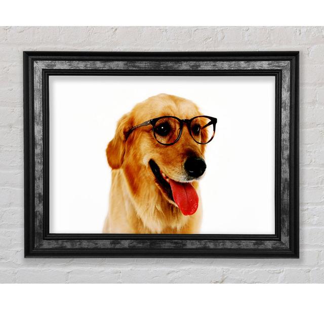 Golden Retriever Nerd - Single Picture Frame Art Prints Bright Star Size: 100cm H x 141.4cm W x 8cm D on Productcaster.