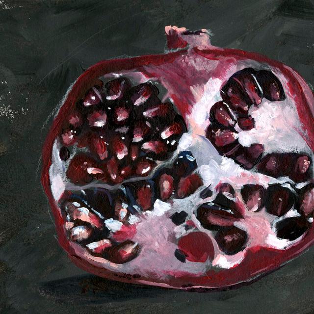 Pomegranate Study on Black I by Jennifer Paxton Parker - Wrapped Canvas Painting Rosalind Wheeler Size: 76cm H x 76cm W on Productcaster.