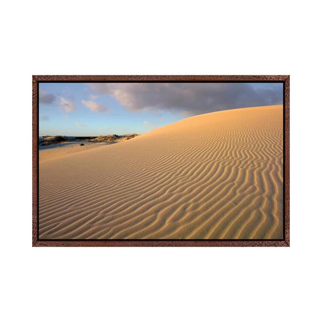 Sanddüne, Monahans Sandhills State Park, Texas Lark Manor Format: Klassischer Holzrahmen, Größe: 45,72 cm H x 66,04 cm B on Productcaster.