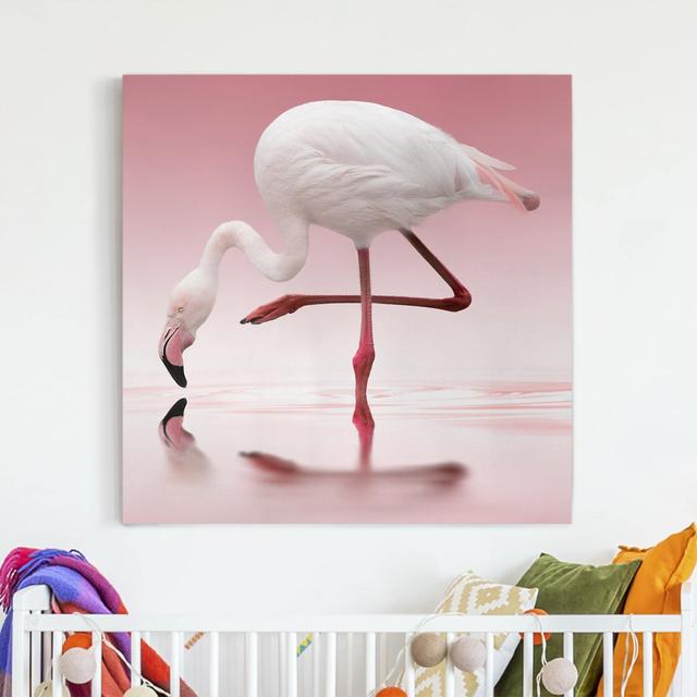 Flamingo Dance - Wrapped Canvas Art Print Bay Isle Home Format: Canvas 260g/m², Size: 40cm H x 40cm W on Productcaster.