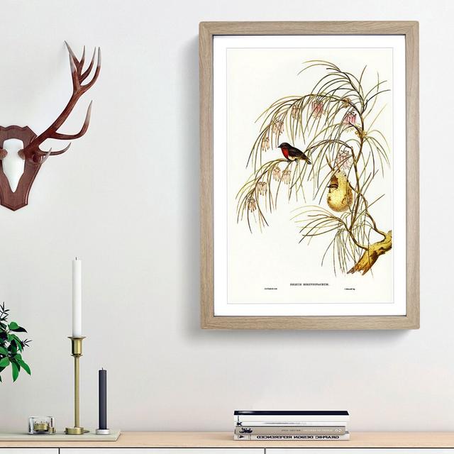 Swallow by Elizabeth Gould - Picture Frame Art Prints East Urban Home Size: 65cm H x 48cm W x 2cm D, Frame Option: Oak Framed on Productcaster.