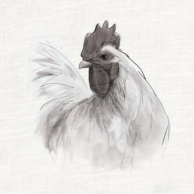 Sketchy Rooster Portrait 2 - Wrapped Canvas Drawing Brambly Cottage Size: 122cm H x 122cm W x 3.8cm D on Productcaster.