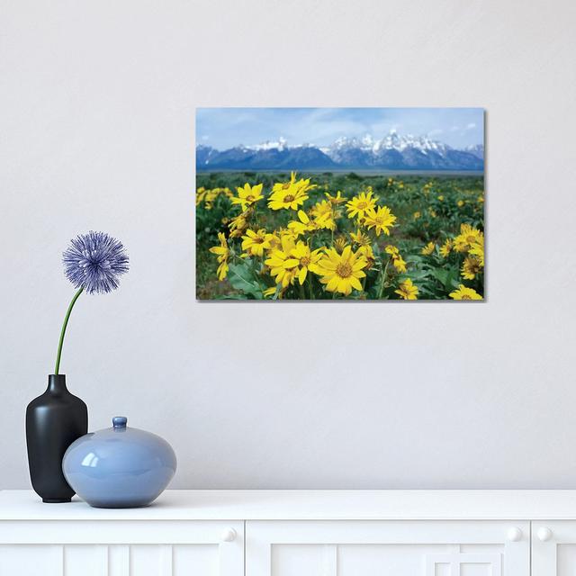 Balsamroot Sunflower Patch, Grand Teton National Park, Wyoming by Tim Fitzharris - Wrapped Canvas Photograph Alpen Home Size: 30.48cm H x 45.72cm W x on Productcaster.