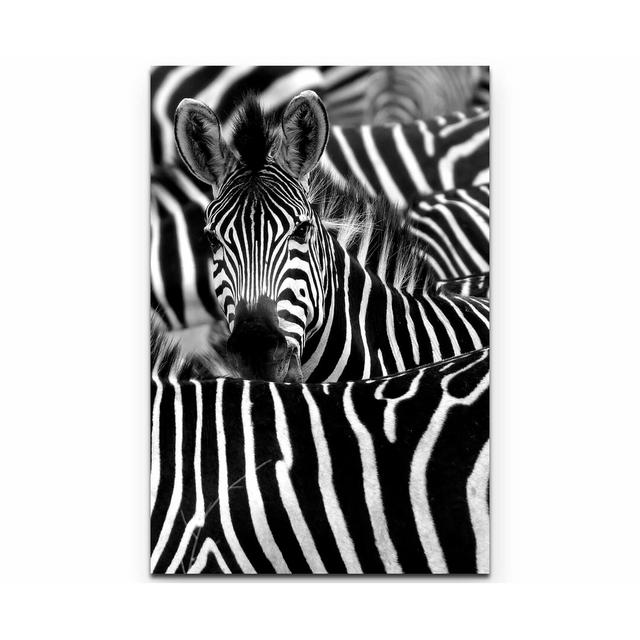 Leinwandbild Zebra in seiner Herde East Urban Home Größe: 90 L x 60 B on Productcaster.