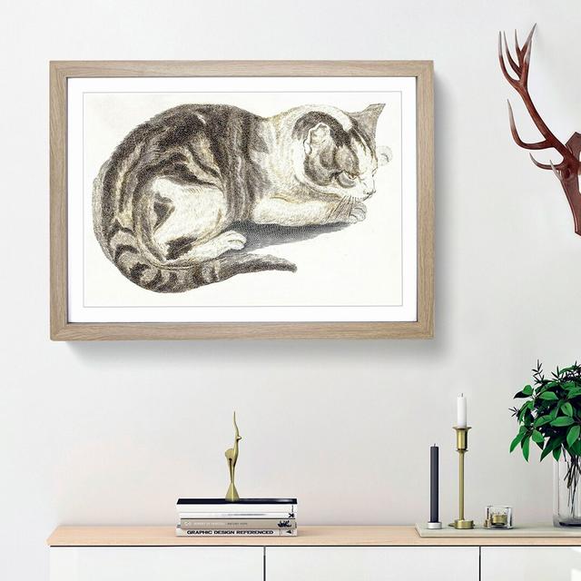 Cat by Johan Teyler - Picture Frame Painting Print East Urban Home Frame Option: Oak Framed, Size: 36cm H x 48cm W x 2cm D on Productcaster.