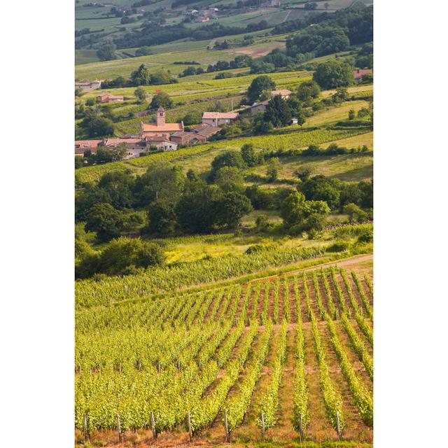 Chasselas VIneyards by Quisait - Wrapped Canvas Photograph Marlow Home Co. Size: 76cm H x 51cm W on Productcaster.